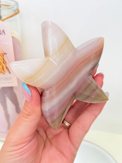 Pink Onyx Starfish