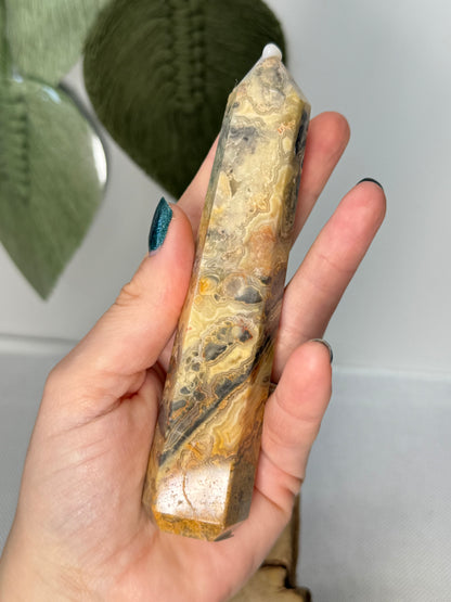 Crazy Lace Agate Point