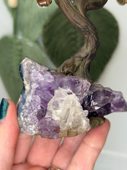 Amethyst Cluster Tigers Eye Chip Tree