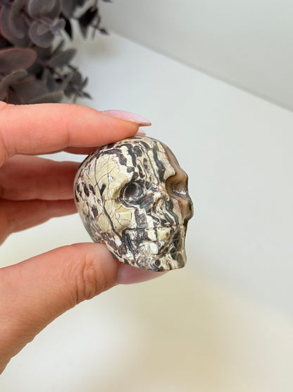 Money Agate Skull