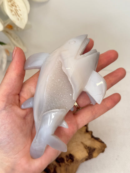 Druzy Agate Shark