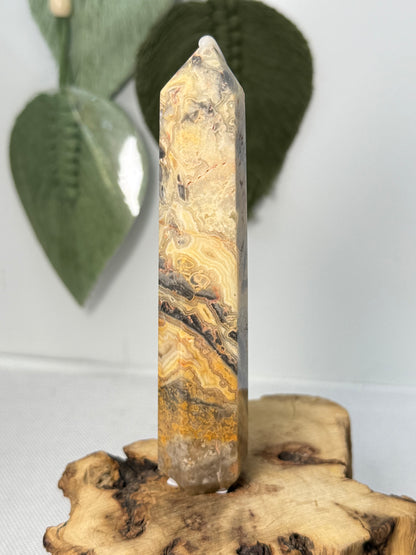 Crazy Lace Agate Point