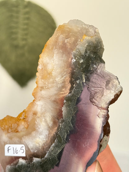 Fluorite With Pyrite Slab (Self Stands)
