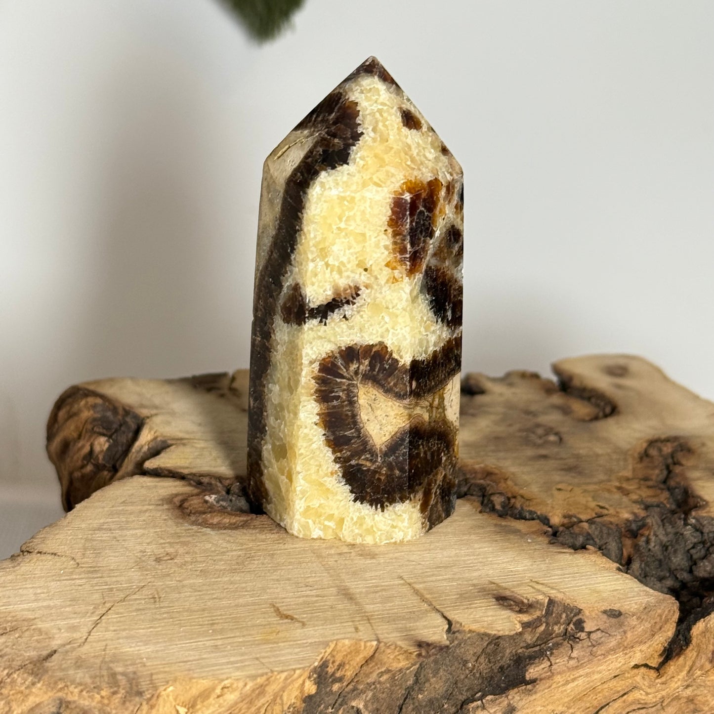 Septarian Point