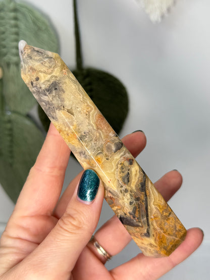 Crazy Lace Agate Point