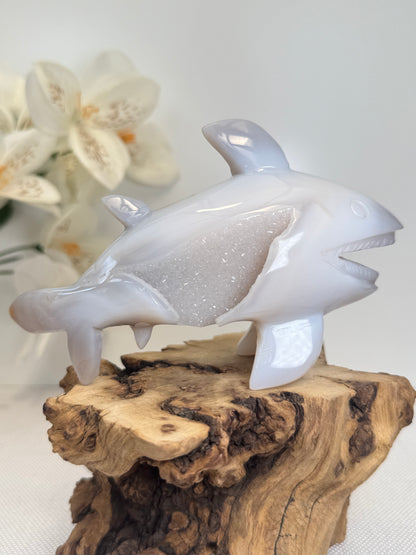 Druzy Agate Shark