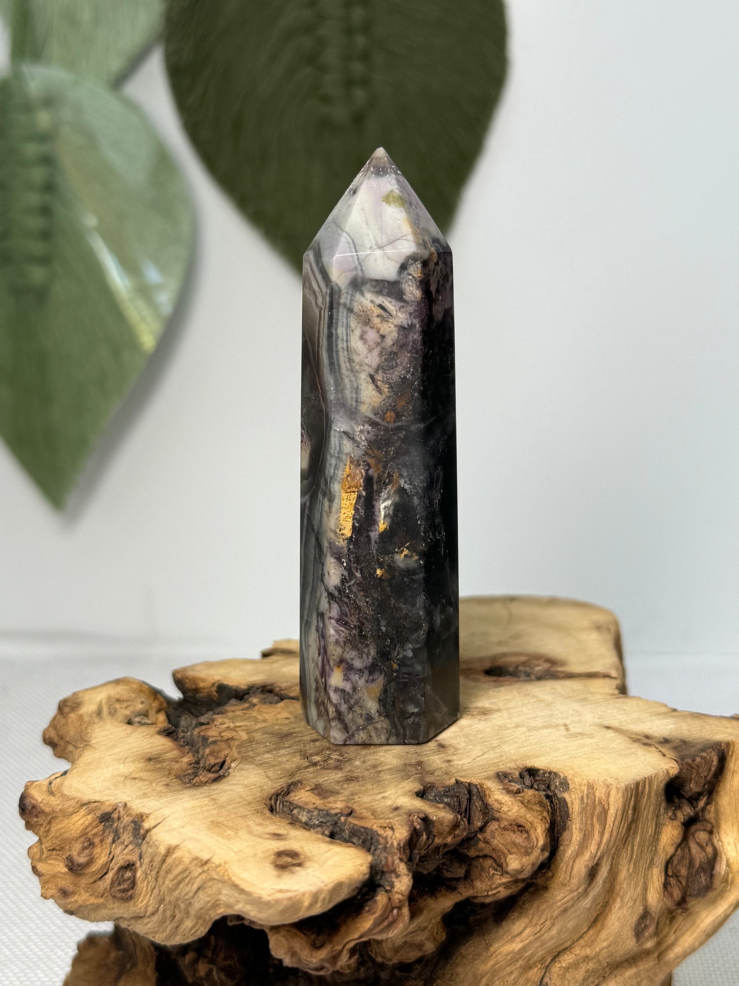Fluorite Root Point