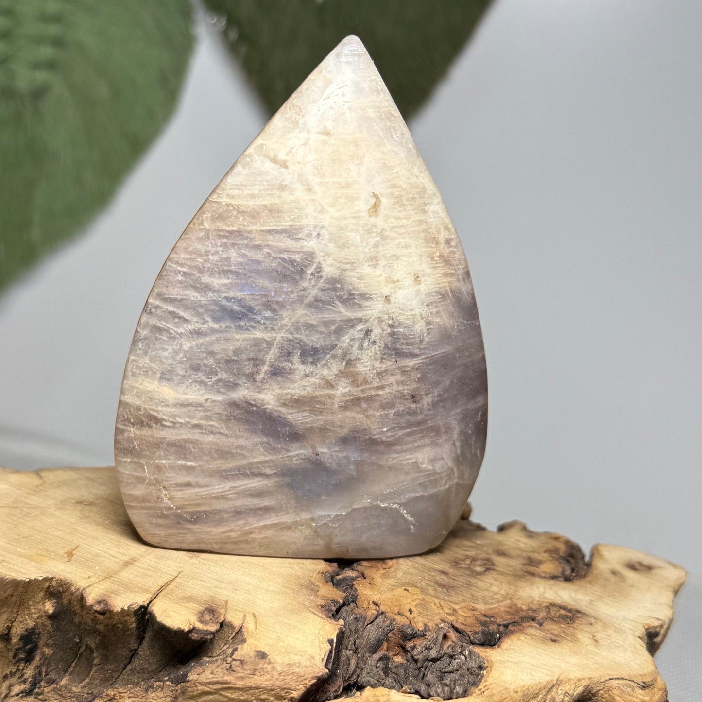 Moonstone Teardrop Freeform