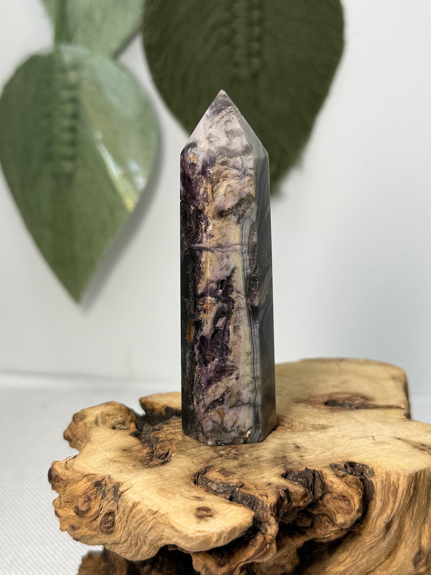 Fluorite Root Point