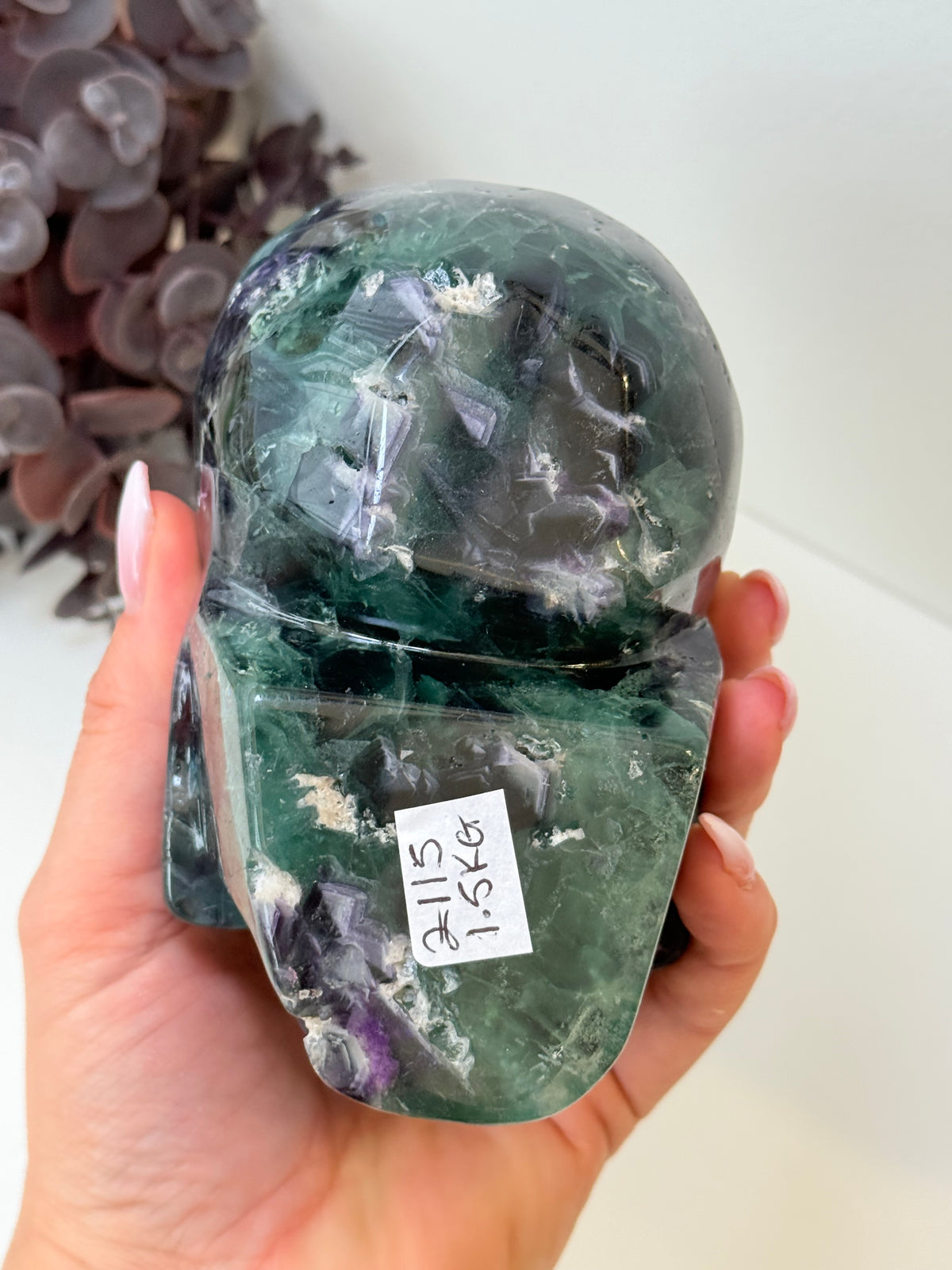 Large 1.5kg Fluorite Skull