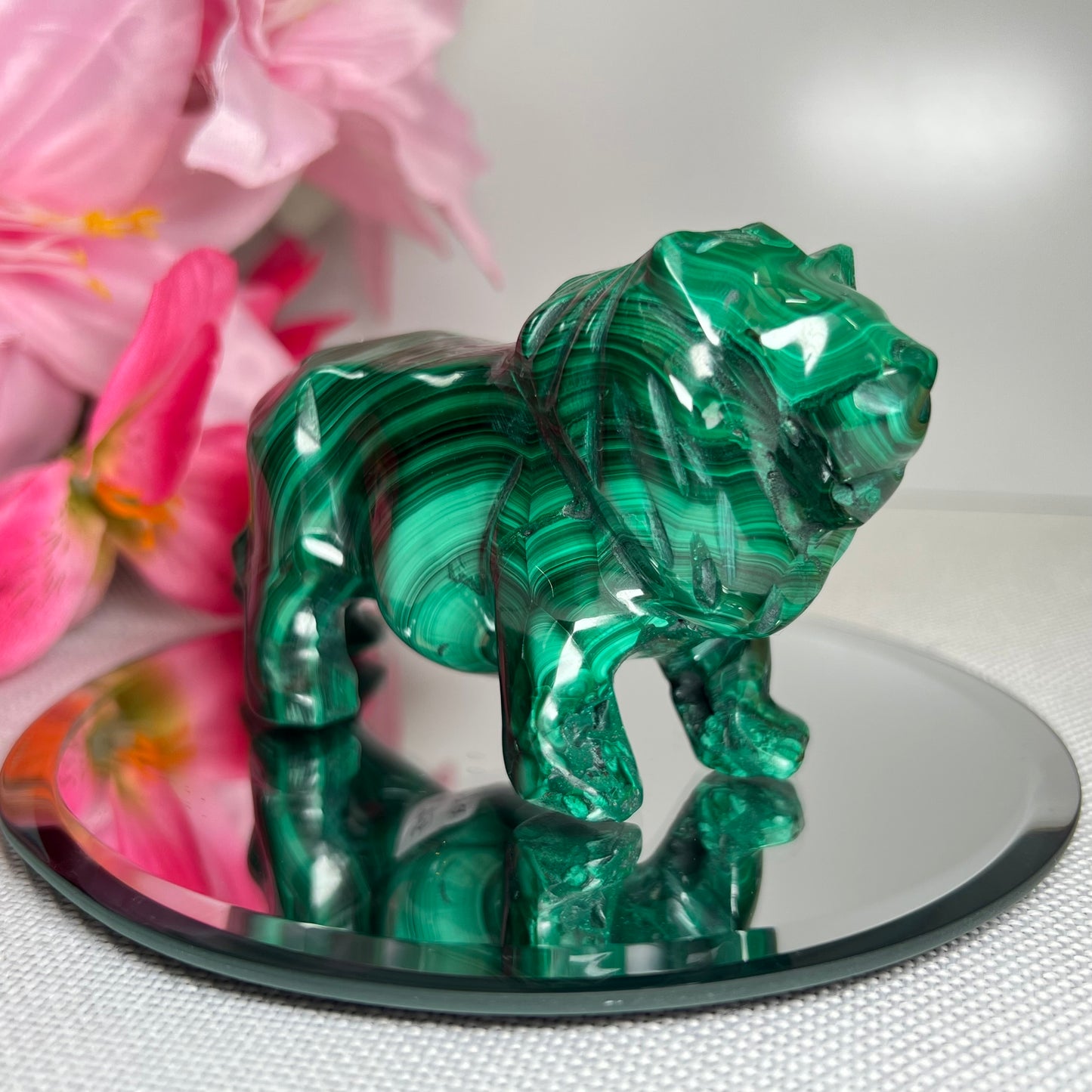 Large Malachite Lion