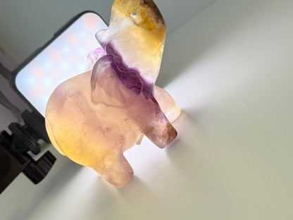 Fluorite Elephant