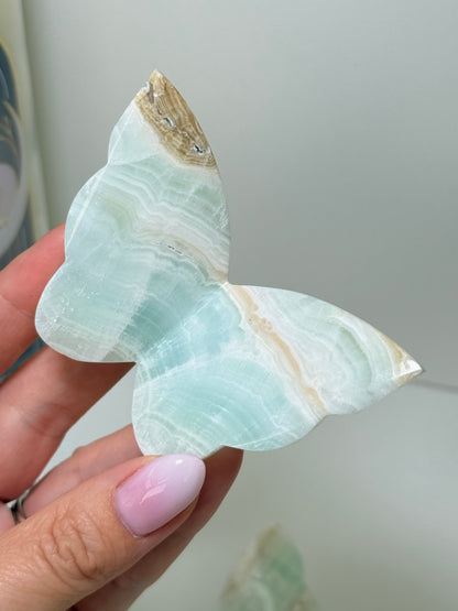 Caribbean Calcite 3D Butterflies