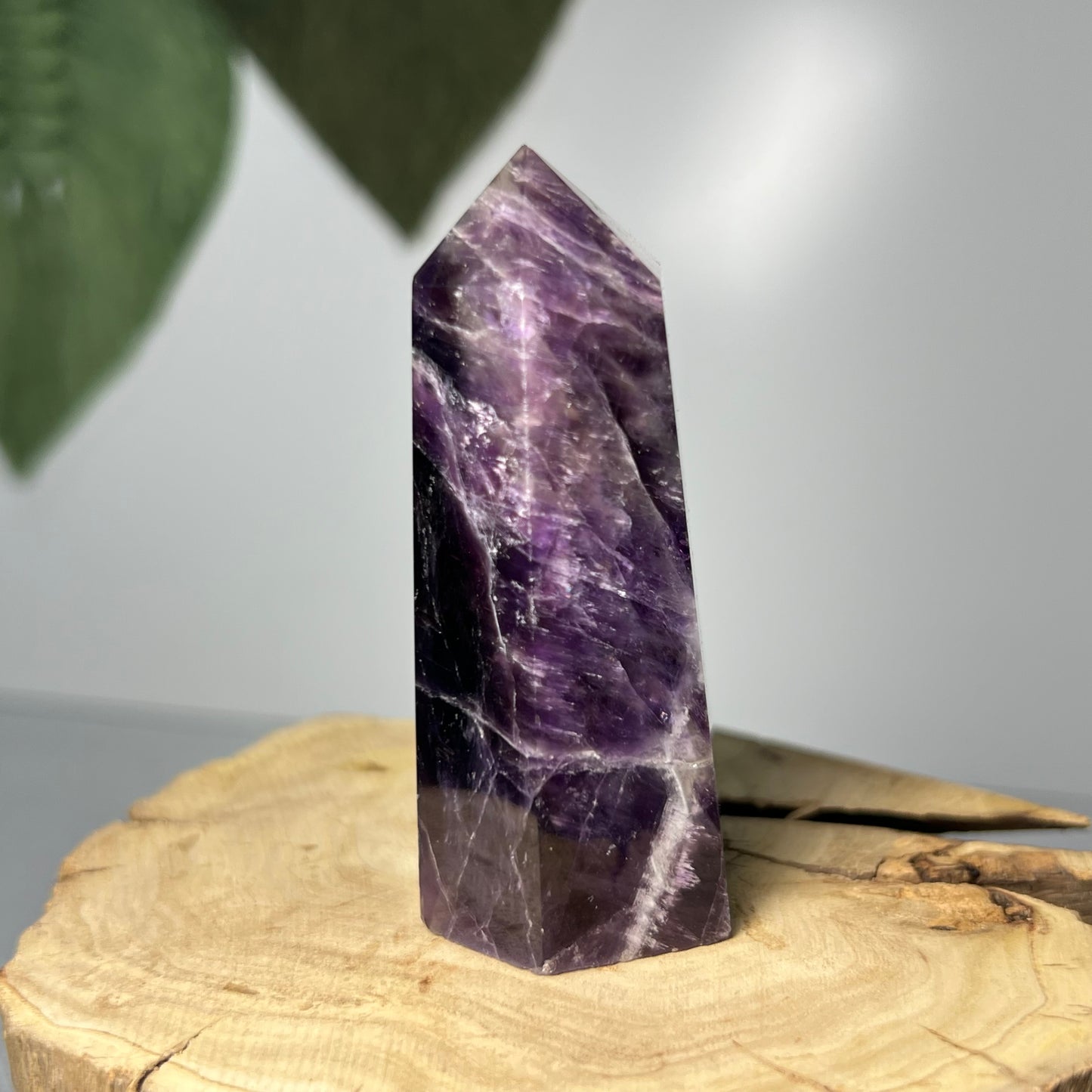 Dream Amethyst Point