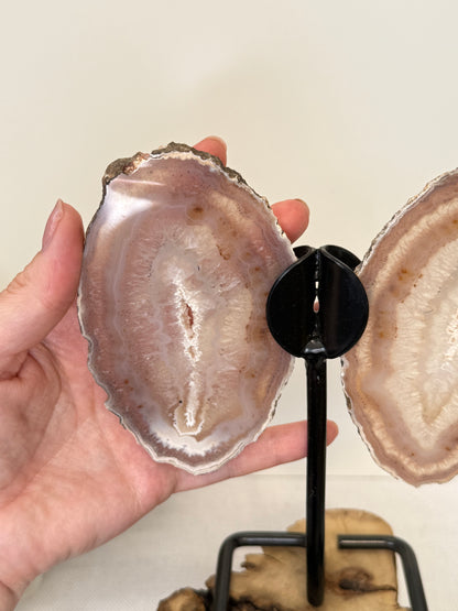 Agate Wings