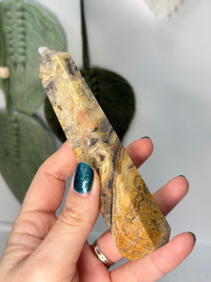 Crazy Lace Agate Point