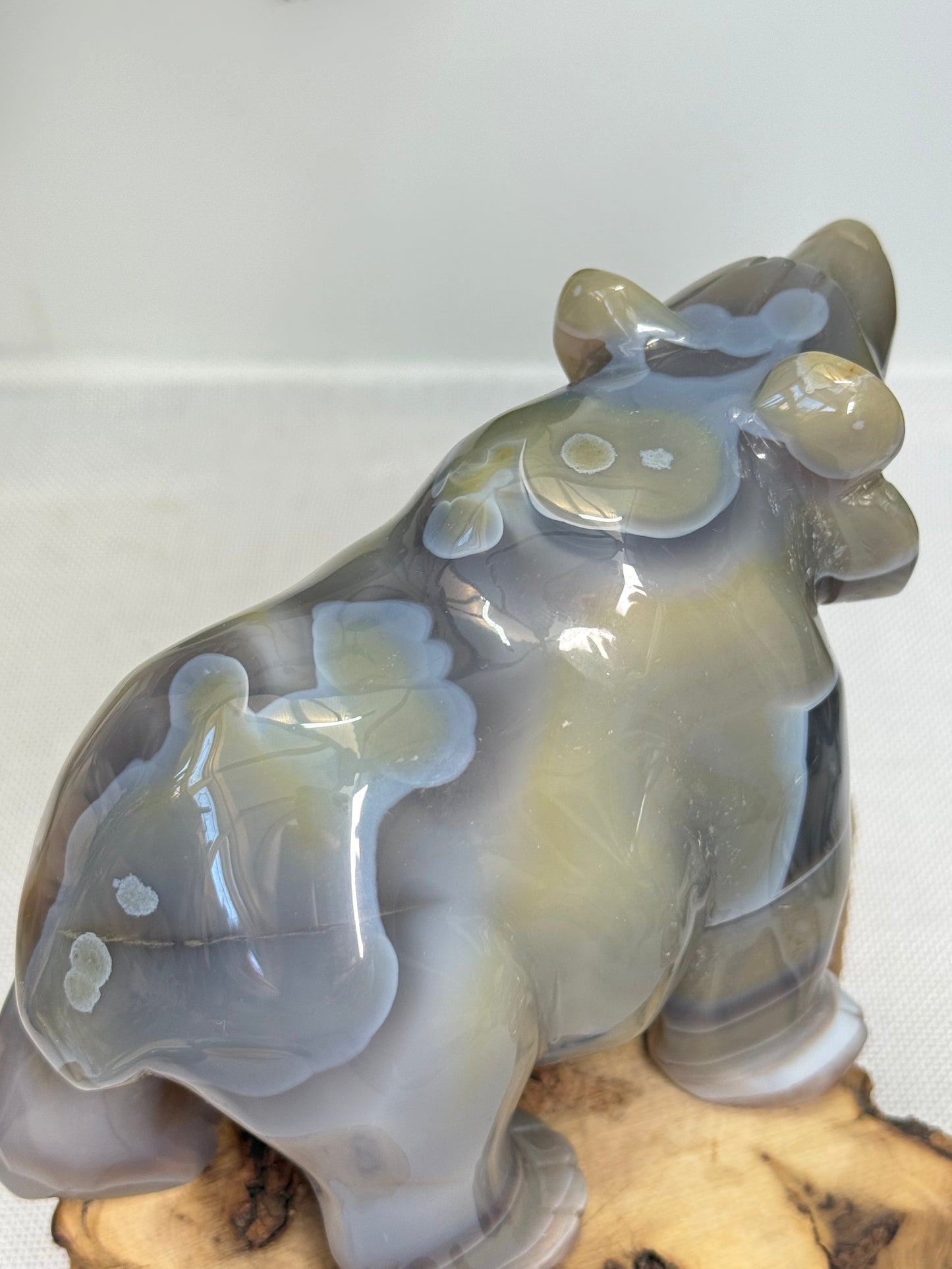 XL Druzy Agate Bear