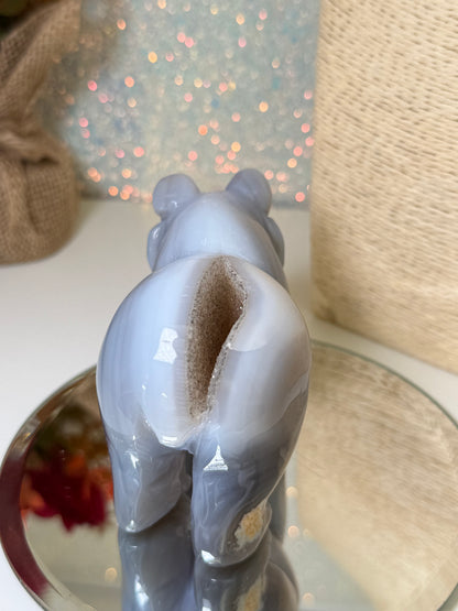 Large Druzy Agate Bear