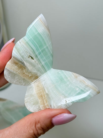 Caribbean Calcite 3D Butterflies