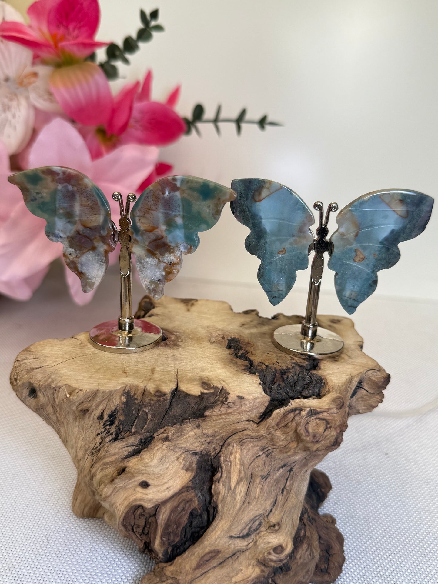 Ocean Jasper Butterflies