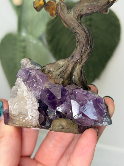 Amethyst Cluster Tigers Eye Chip Tree