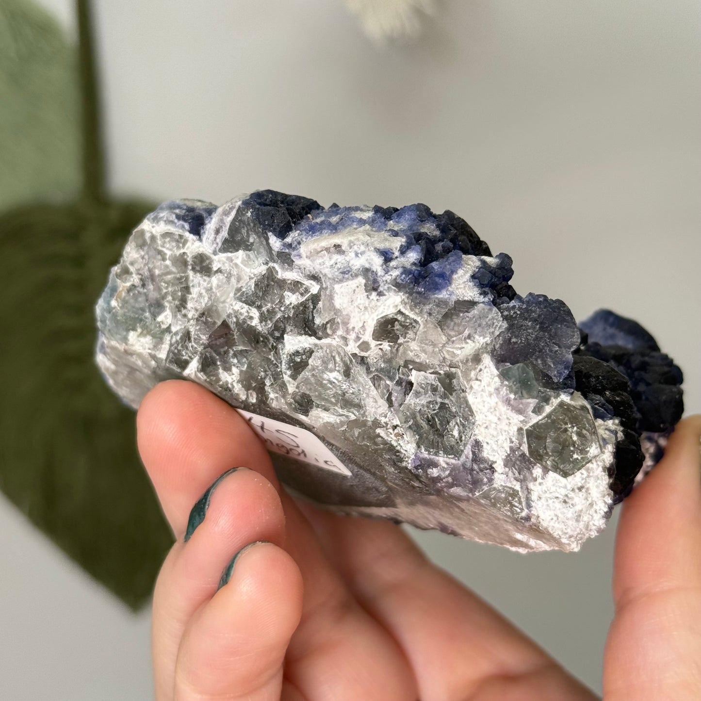 Blueberry Fluorite Specimen