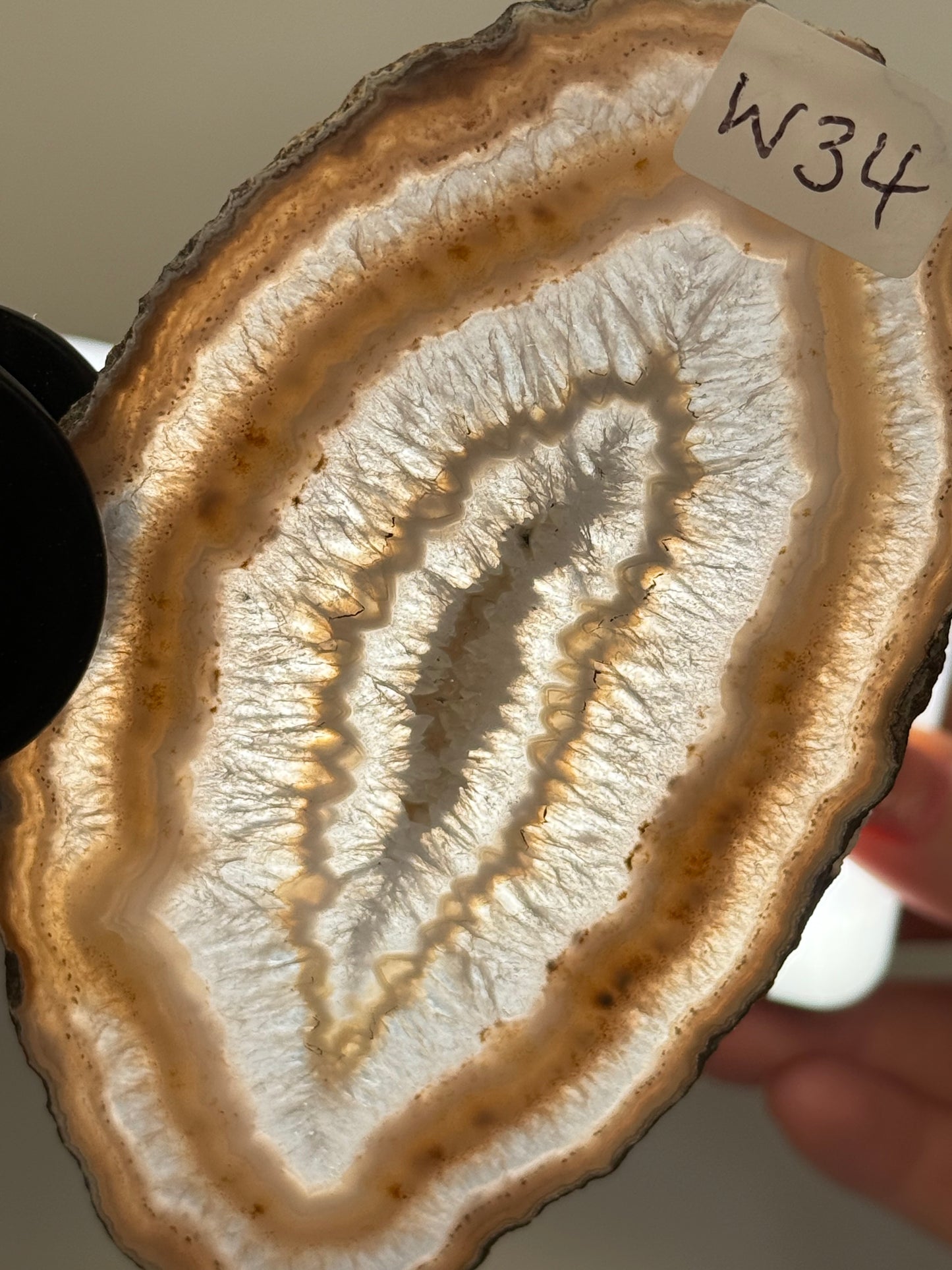 Agate Wings