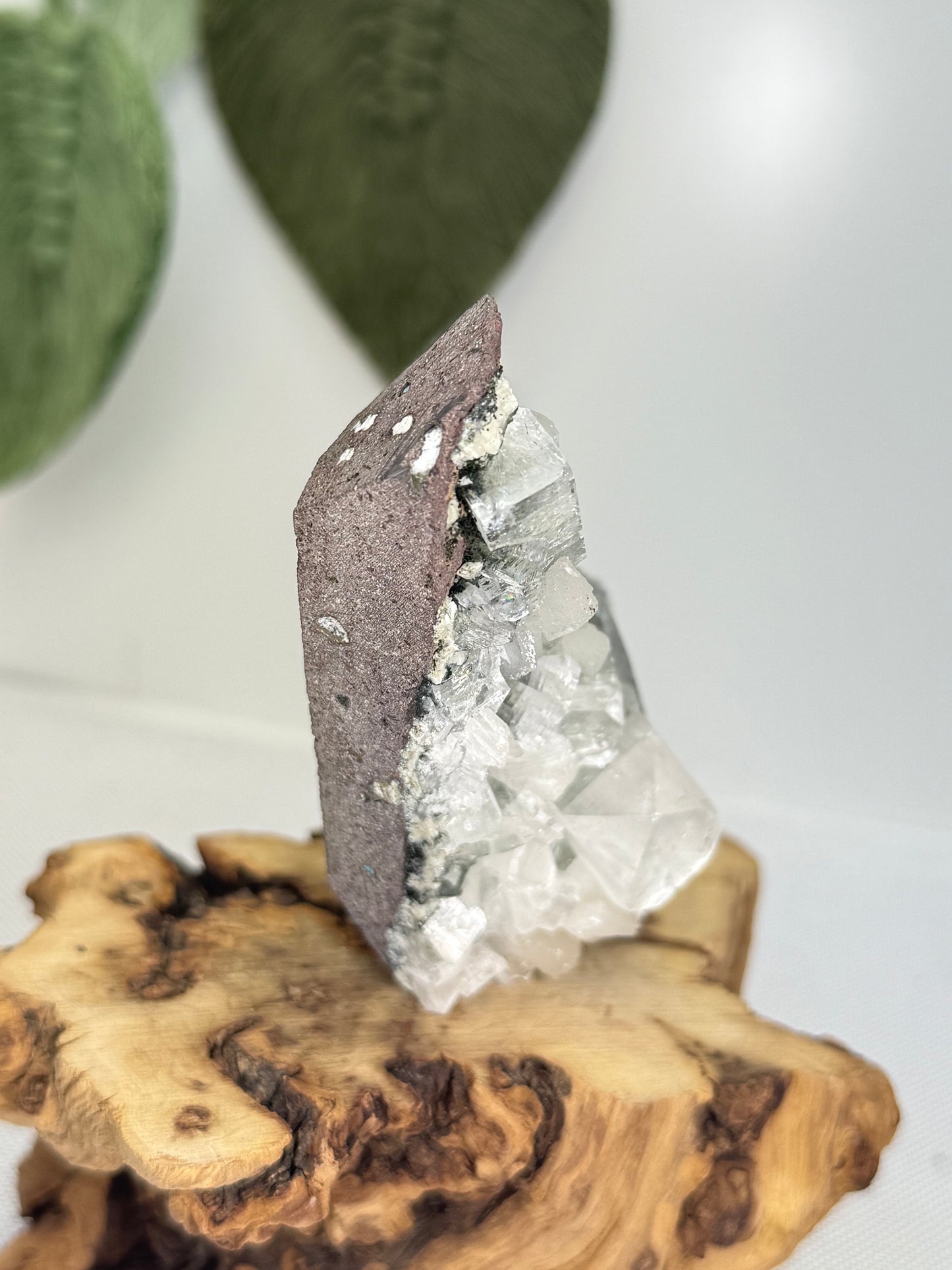 Part Green Apophyllite With Stilbite
