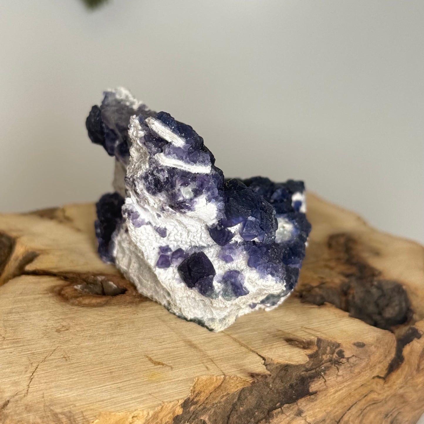 Blueberry Fluorite (Mongolia)