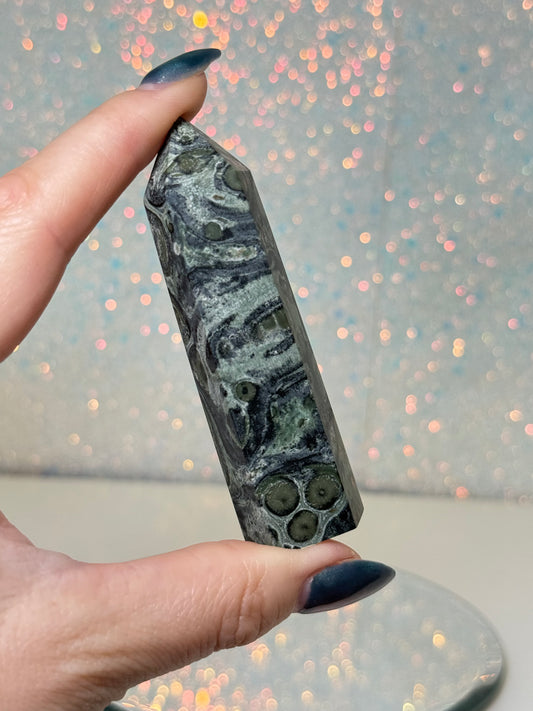 Kambaba Jasper Point