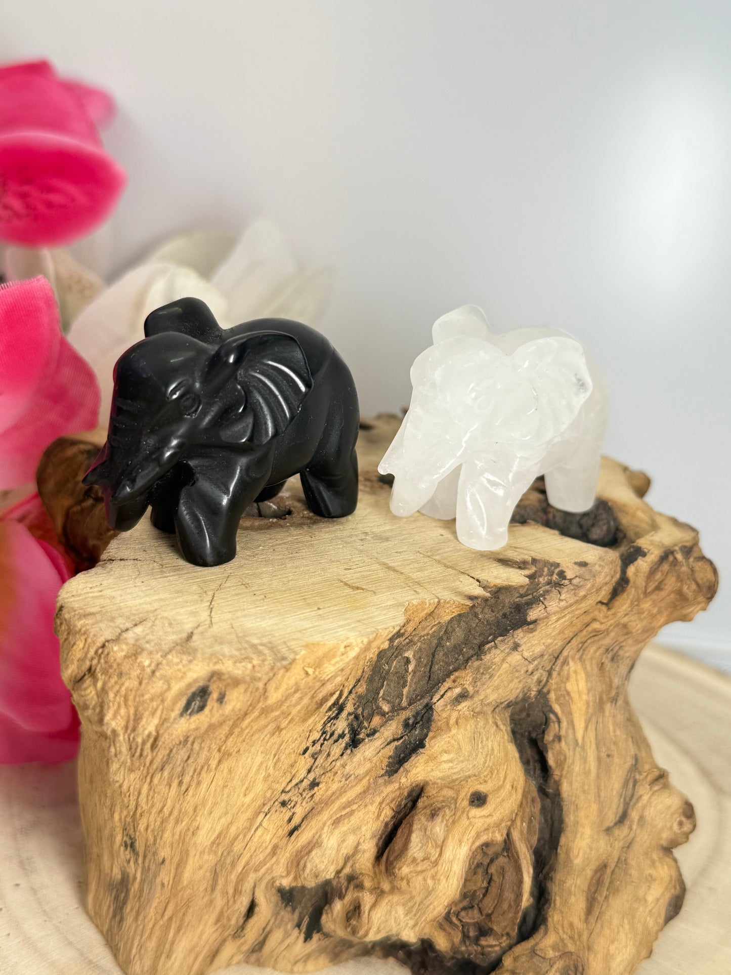 Elephant Carvings