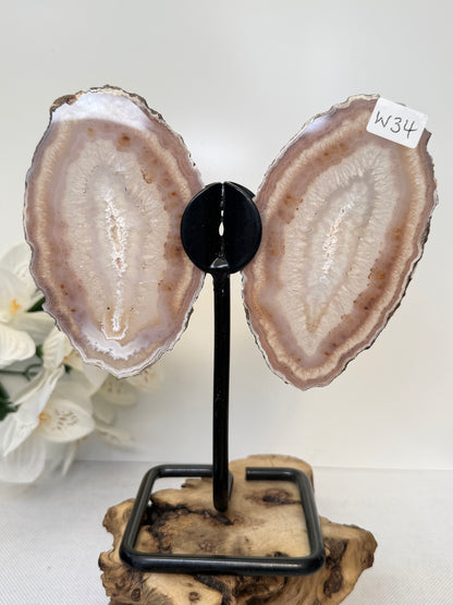 Agate Wings
