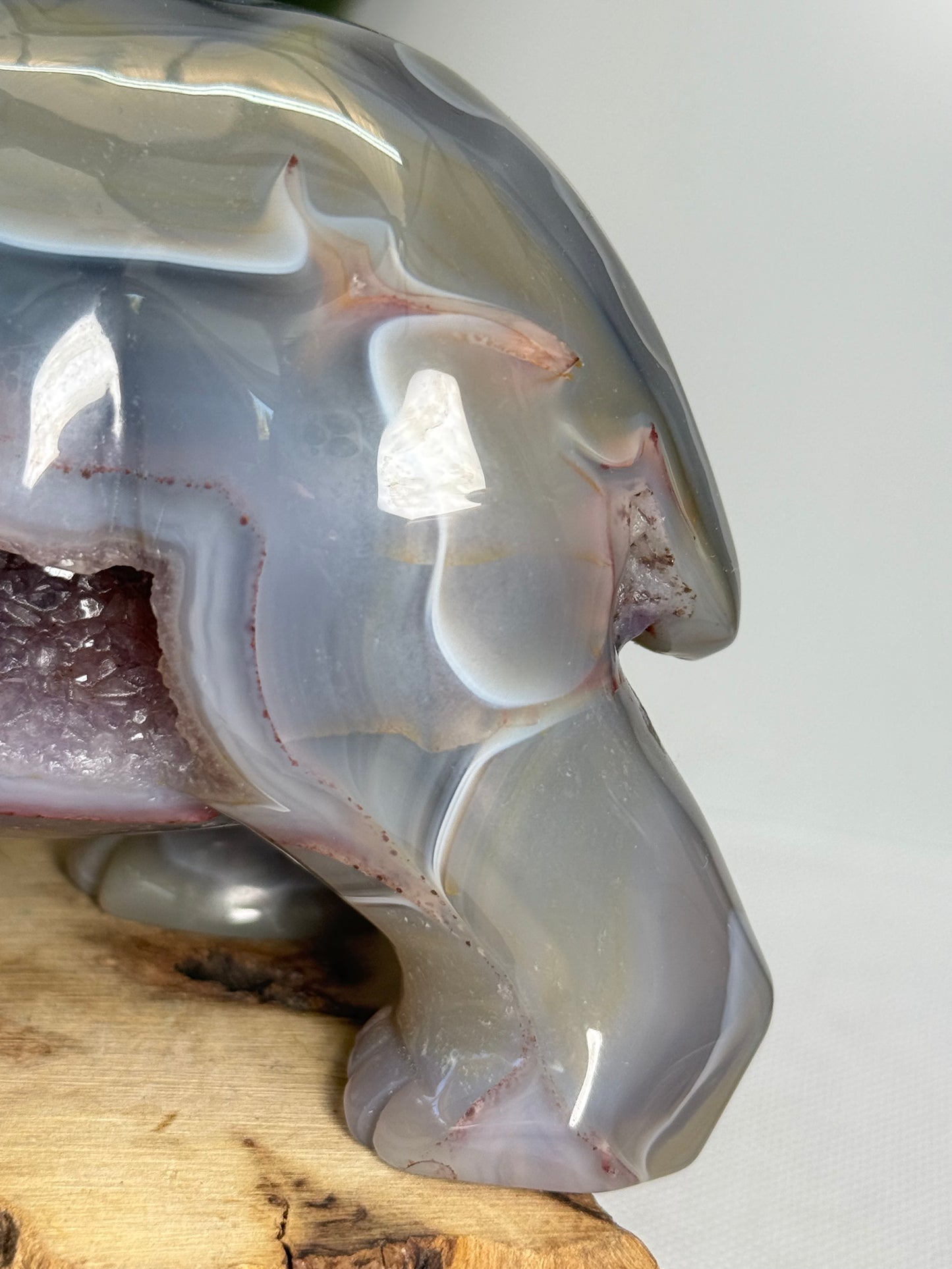 XL Druzy Agate Bear