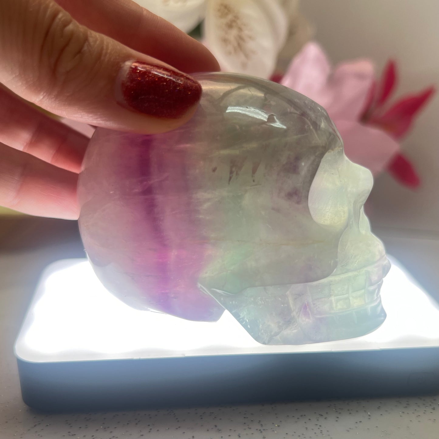 Fluorite Skull