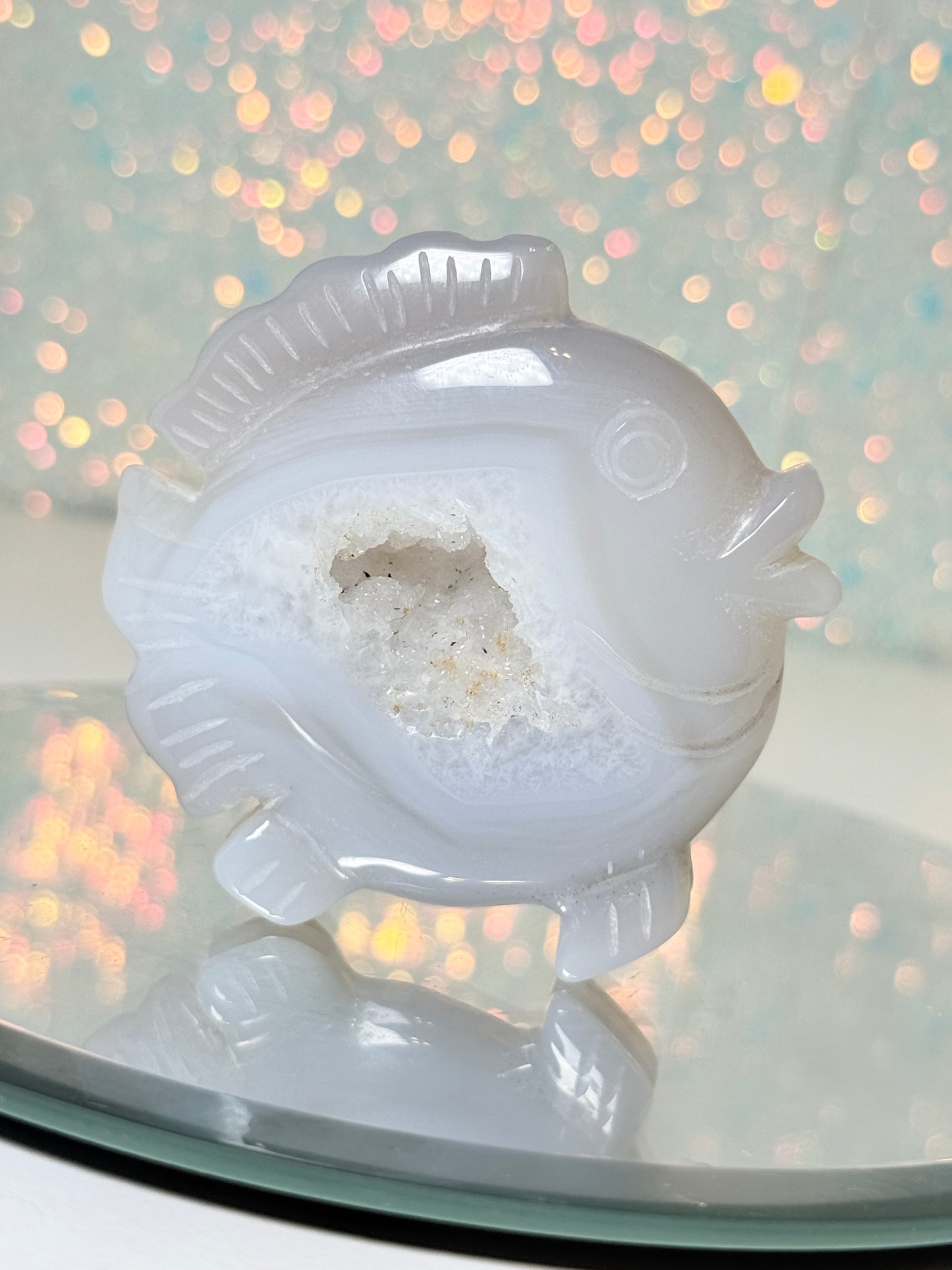 Druzy Agate Fish (B)