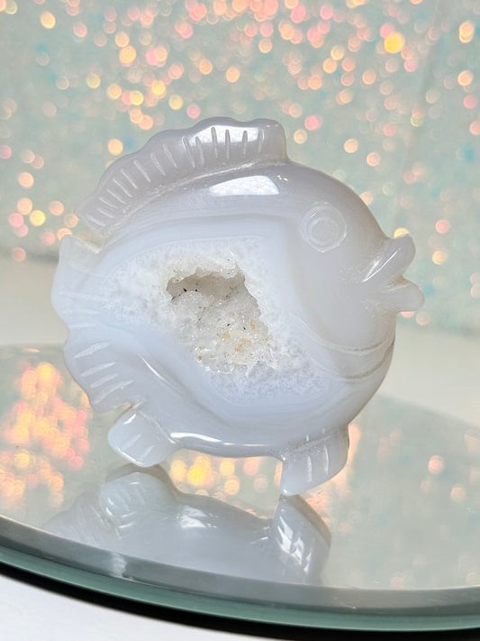 Druzy Agate Fish (B)