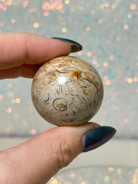 Madagasca Dinosaur Bone Fossil Sphere