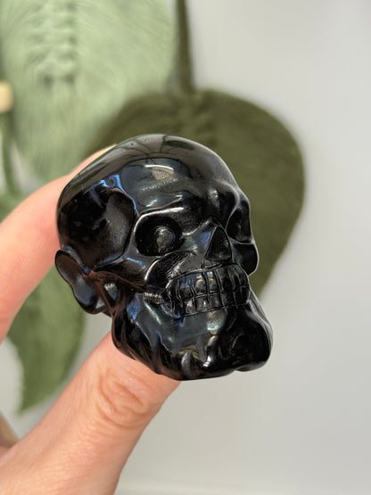 Black Obsidian Bearded Skull