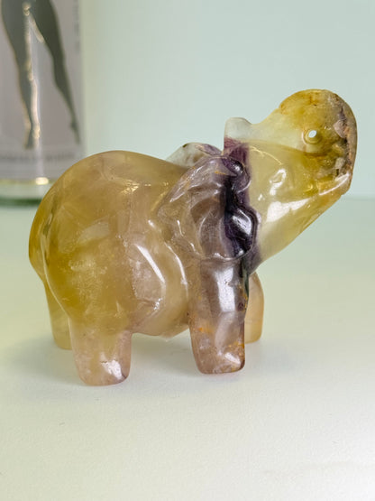 Fluorite Elephant
