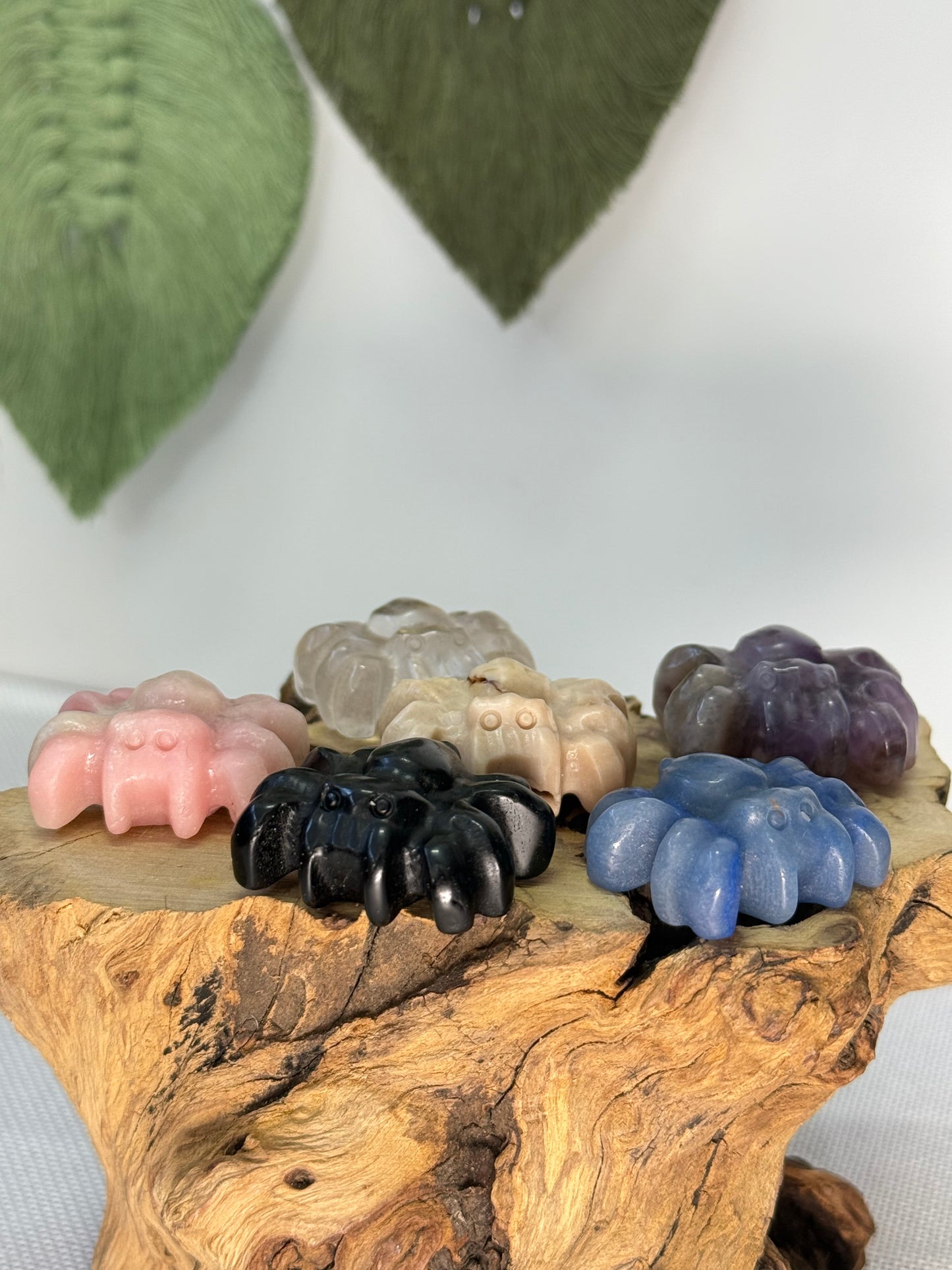 Spider Carvings