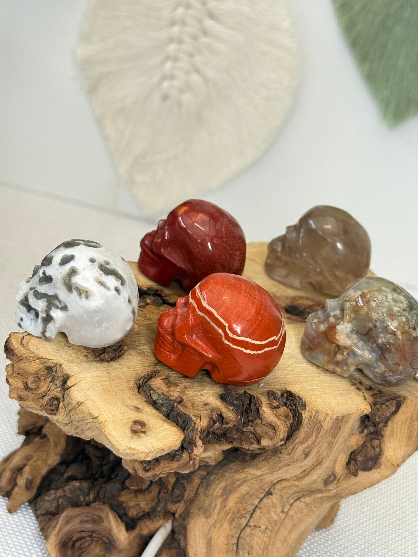 Mini Skull Carvings