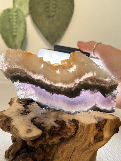 Fluorite With Pyrite Slab (Self Stands)