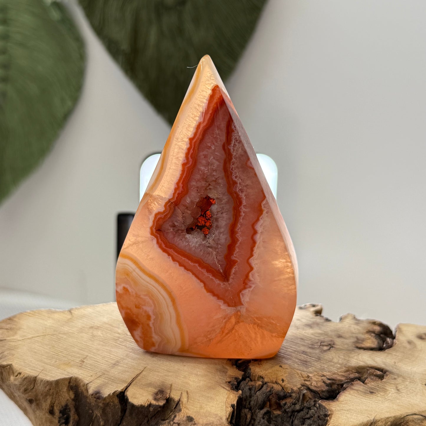 Carnelian Teardrop Freeform