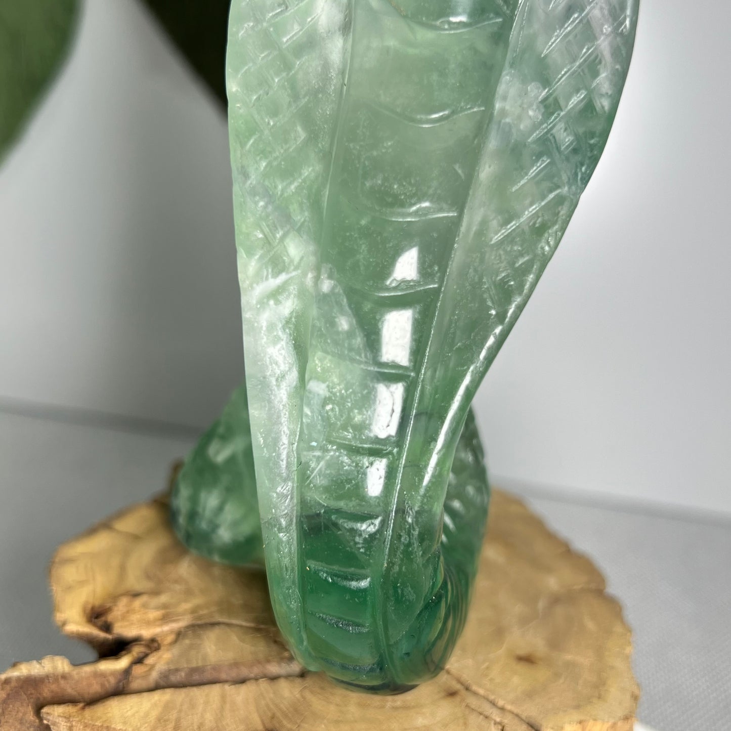 Large Fluorite Cobra Snake