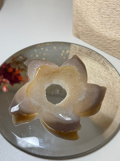 Druzy Agate Starfish