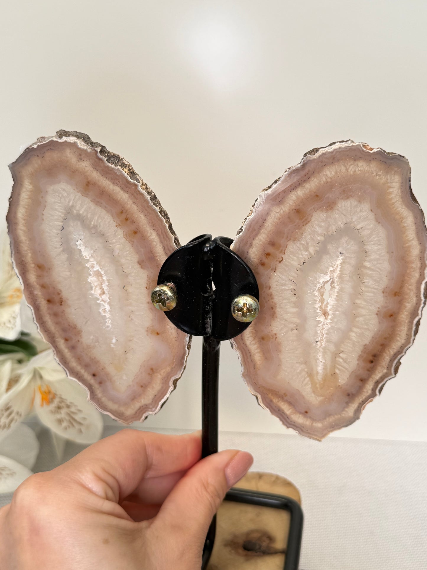 Agate Wings