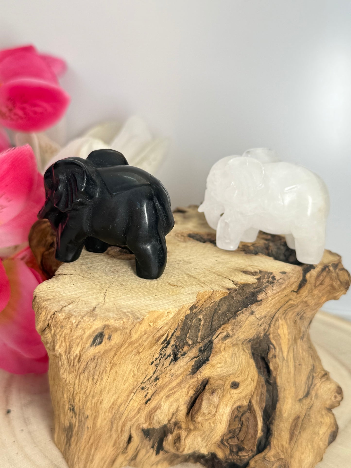 Elephant Carvings
