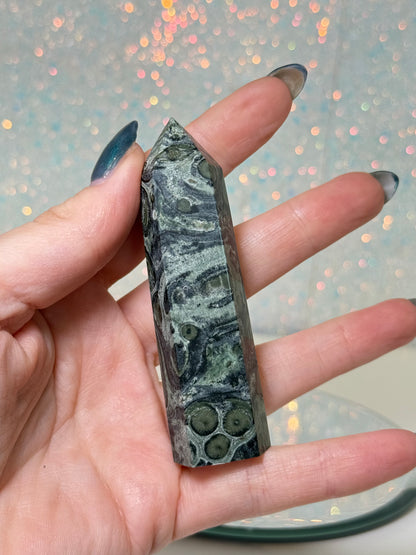 Kambaba Jasper Point