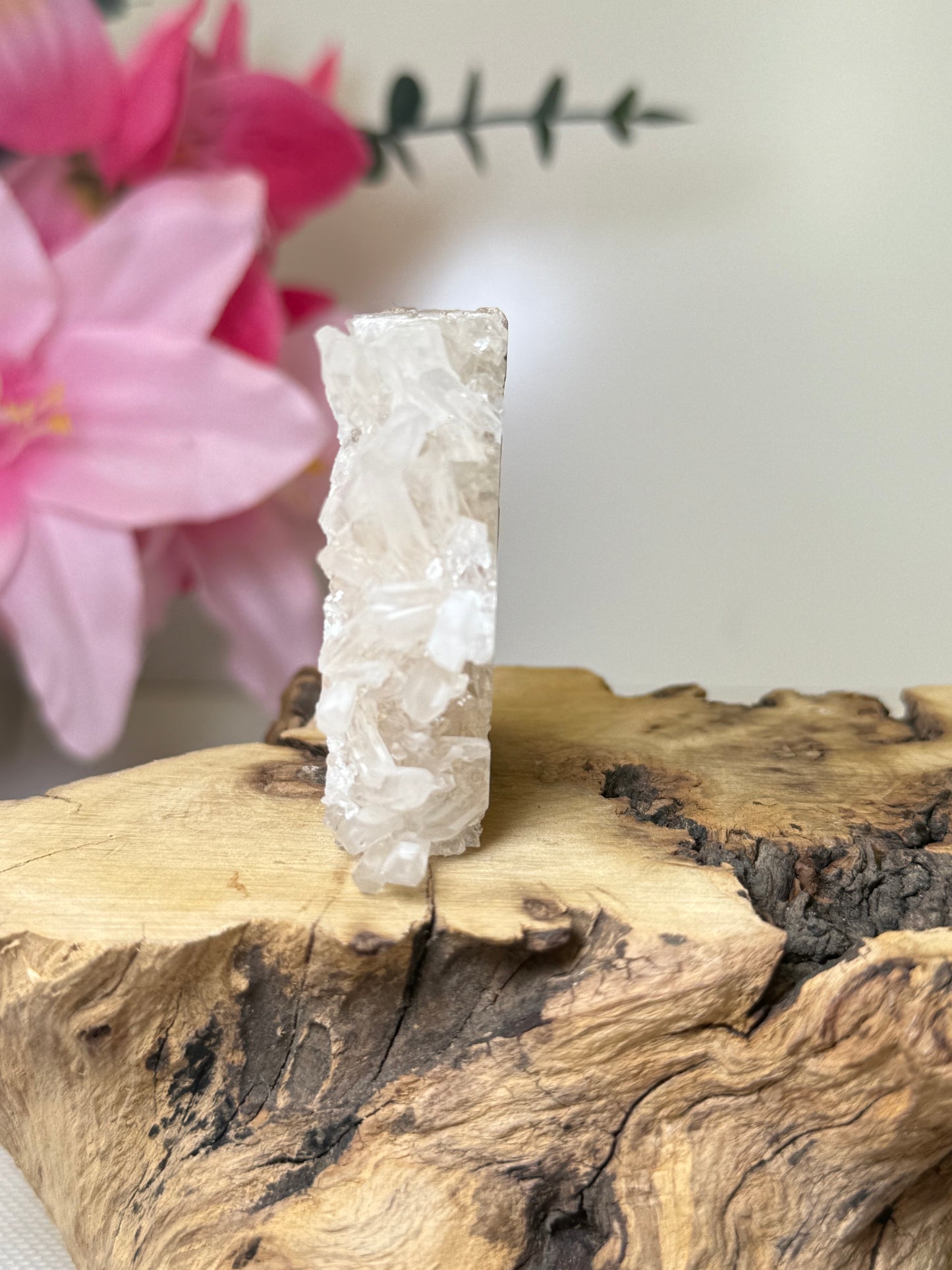 Clear Quartz Cluster On Matrix Unicorn