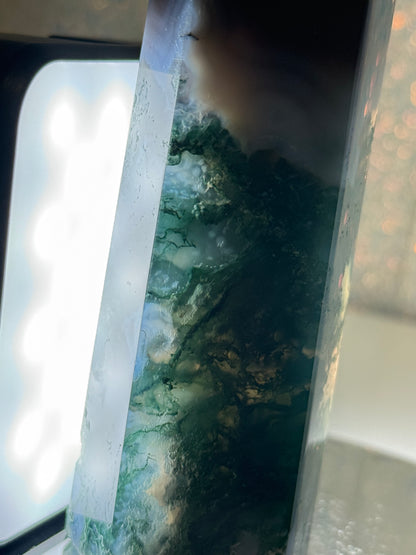 Moss Agate Point